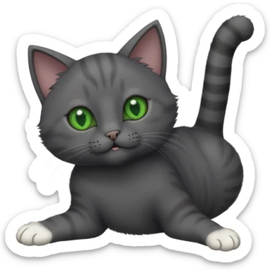 solid dark grey cat with green eyes, completely solid grey face, white toes/paws playing rolling upside down sticker