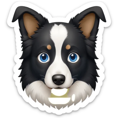 Border collie white and black with blue eyes  sticker