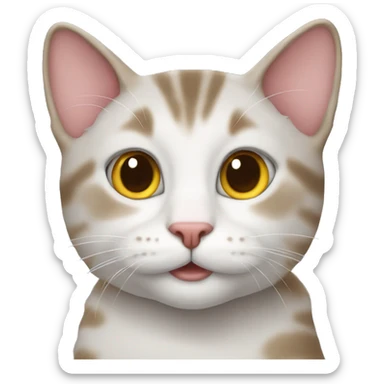 cat wearing tue sticker