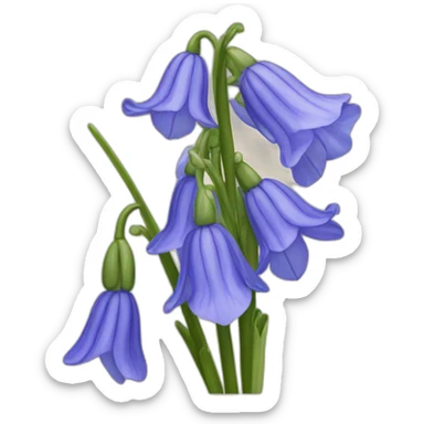 Bluebell flower sticker