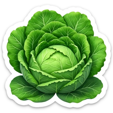 cabbage sticker