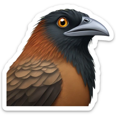Greater coucal sticker