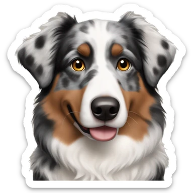 Black Merle Australian shepherd with hazelnut eye color  sticker