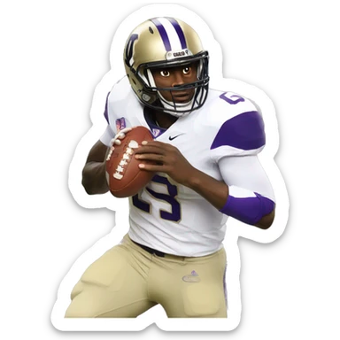 Washington huskies football sticker