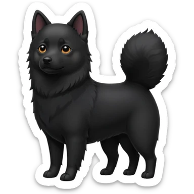 Schipperke standing sticker