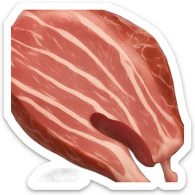 apetizers meat sticker
