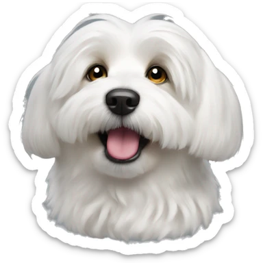Coton de tulear dog happy sticker