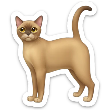 Burmese Cat Full Body sticker