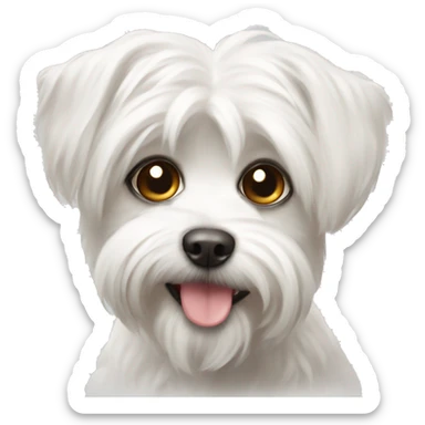 Maltese Lapdog sticker