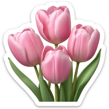 Bouquet of pink tulips sticker