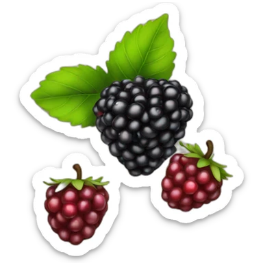 single black berry sticker