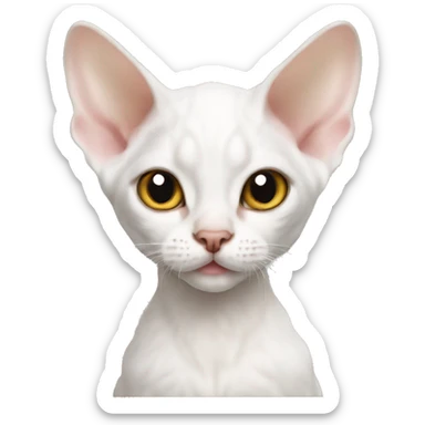 White devon rex kitten sticker