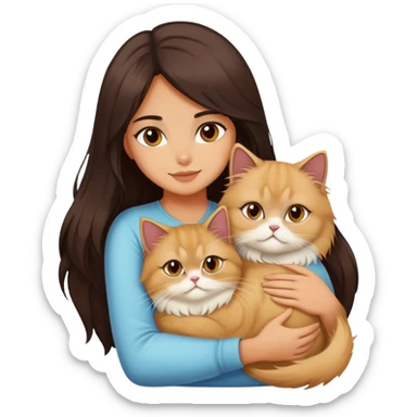 A pretty girl with long dark hair is hugging her light hair persian cat. sticker
