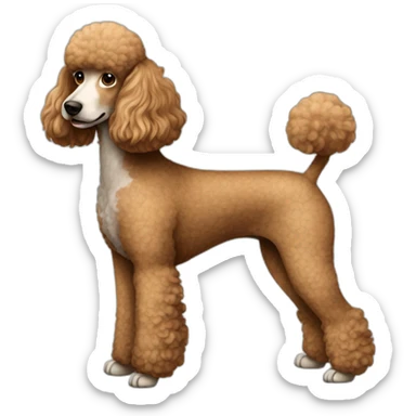 Dog Standart Poodle full body sticker