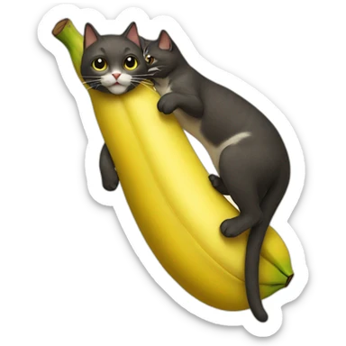 a Cat  banana sticker