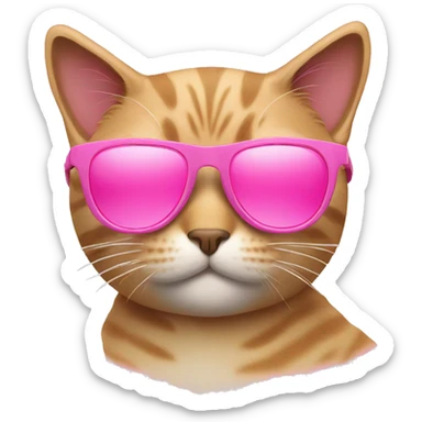 Cat with sunglasses pink  sticker