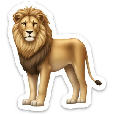  A majestic young lion standing proudly in the savannah. sticker