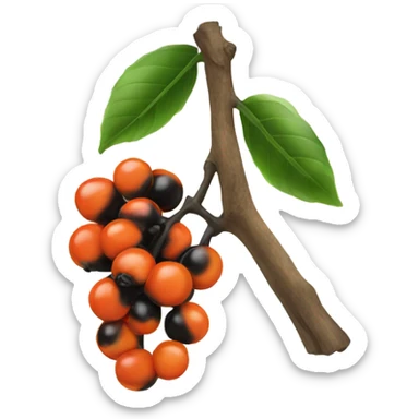 Ripe guarana sticker