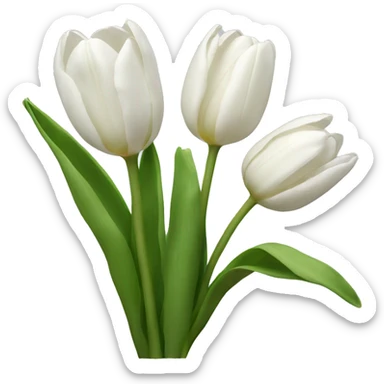 White tulips sticker