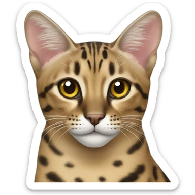 Savannah Cat sticker