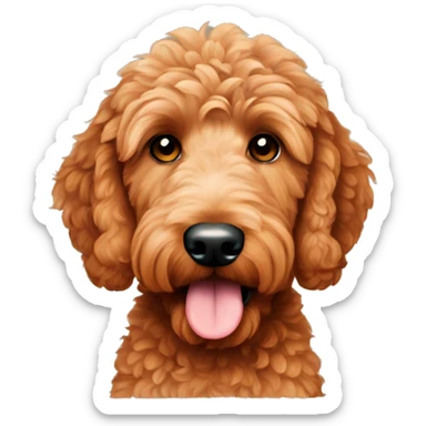 Red colored  goldendoodle  sticker