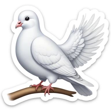 white dove pigeon sticker