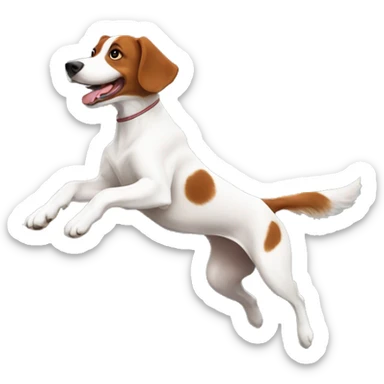 brittany dog agility jumping sticker