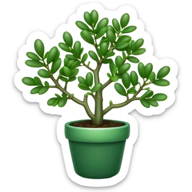 Cinematic Realistic Jade Plant Emoji, Thick and glossy, with dark green, round leaves that shine under the light. The sturdy stems and vibrant foliage give a sense of prosperity and tranquility. Soft glowing outline, capturing the essence of good luck, growth, and natural elegance in a flourishing jade plant! sticker
