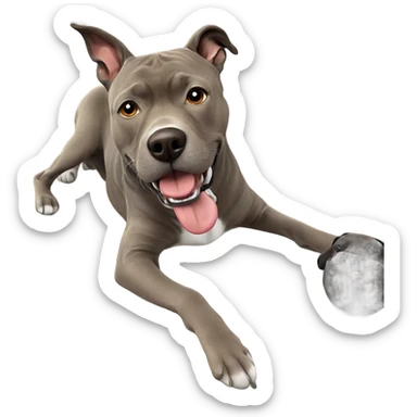 realistic dog relaxing indoors sticker