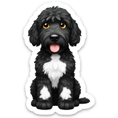 Black golden doodle with white paw and spot on its chest sticker
