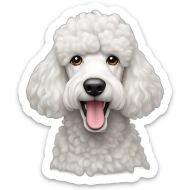 White standard poodle sticker
