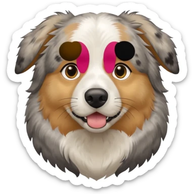 Australian Shepherd golden retriever tan eyebrows around nose and mouth black and speckled grey fur on chest. sticker