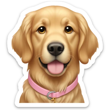 a golden retriever with a light pink collar  sticker