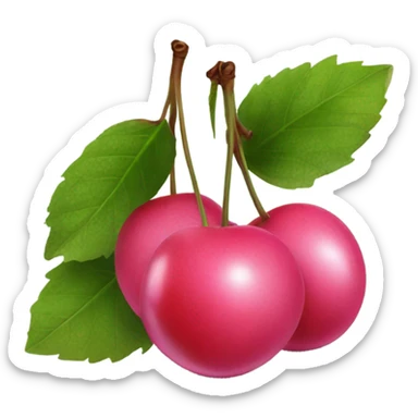 pink cherrys  sticker
