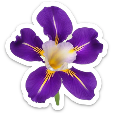 iris flora in anemone sticker