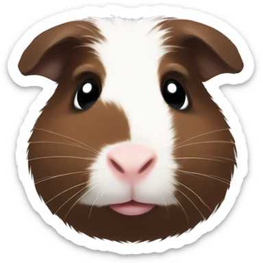 cute dark brown Guinea pig with white line fur between eyes sticker