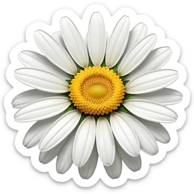 vibrant daisy flower with yellow center sticker