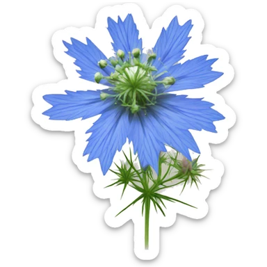 love-in-a-mist flower sticker