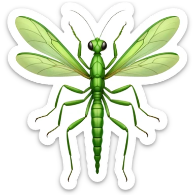 mantide religiosa visione semi laterale semi  frontale sticker