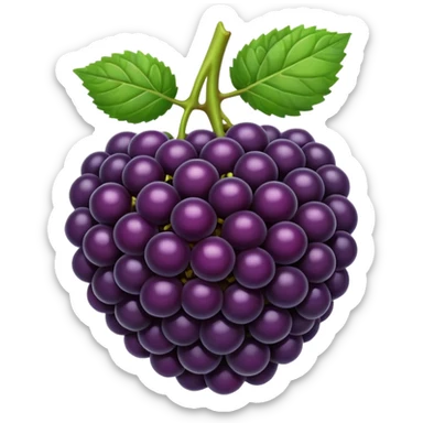blackberry sticker