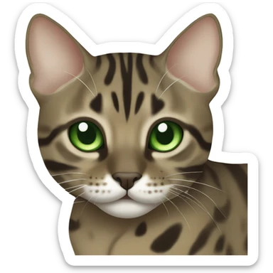 Sepia charcoal Bengal cat with Green eyes  sticker