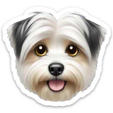 white and black morkie  sticker