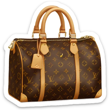 Louis Vuitton bag sticker