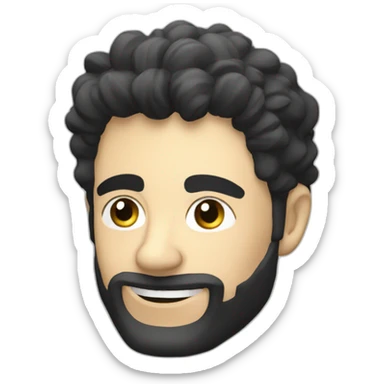 Seat arona negro sticker