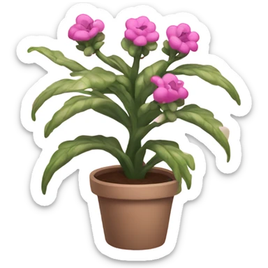 Pink plant that’s smiling sticker