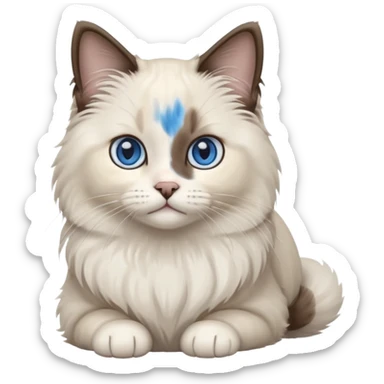 Bicolor seal point Ragdoll cat  sticker