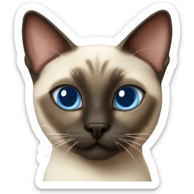 Siamese cat shows heart sticker