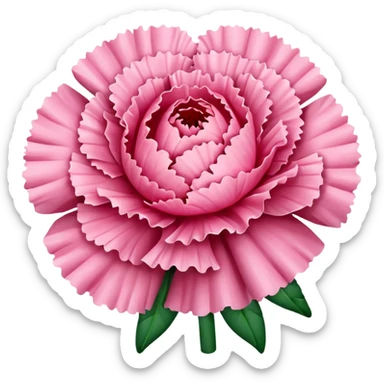 Pink carnation flowers  sticker