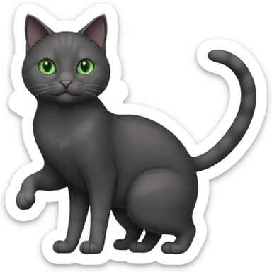full body gorgeous solid dark grey cat with green eyes, white paws and white whiskers reaching for something sticker