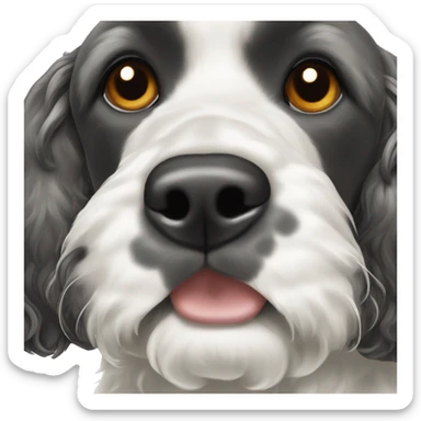 black and white cocker spaniel with nose spots sticker